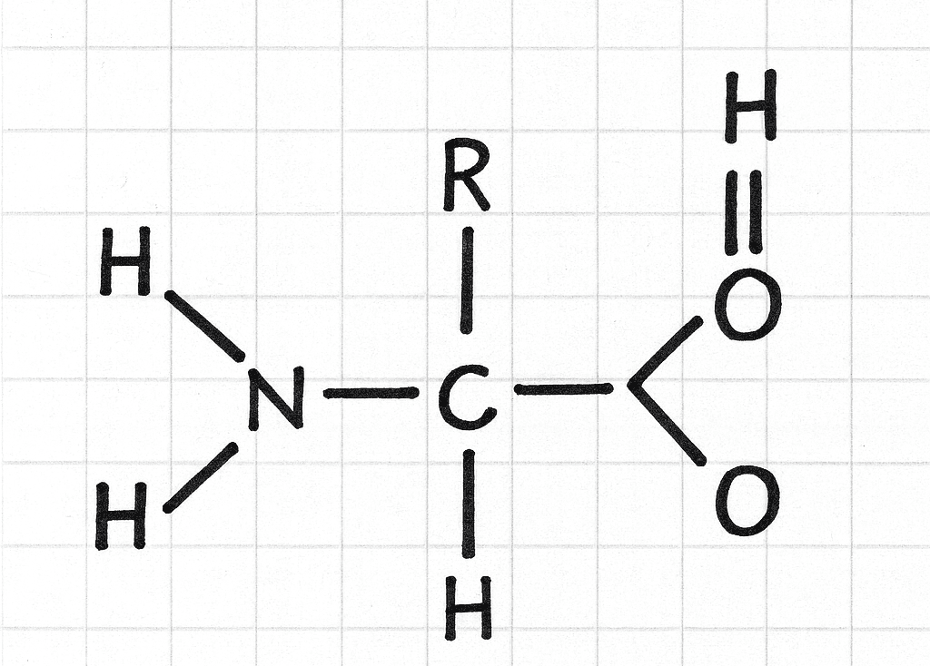 Illustration WikiGym — clin d’œil à la rigueur scientifique